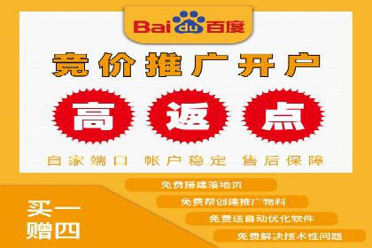 百度竞价推广成功案例解析